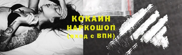 шишки Балахна