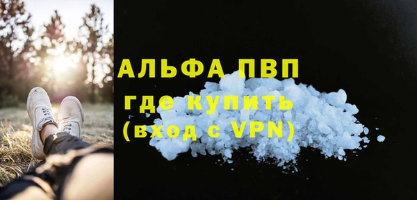 гашик Арсеньев