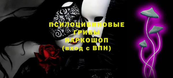 apvp Аркадак