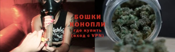 шишки Балахна