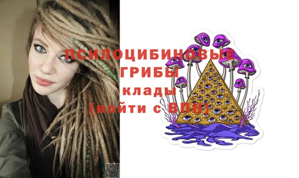 гашик Арсеньев