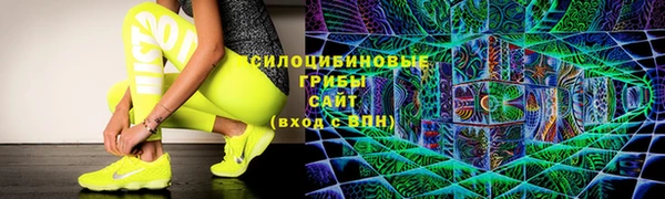 шишки Балахна